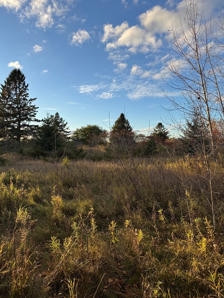 Valley View Trail Sturgeon Bay, WI 54235 - Photo 8 of 12