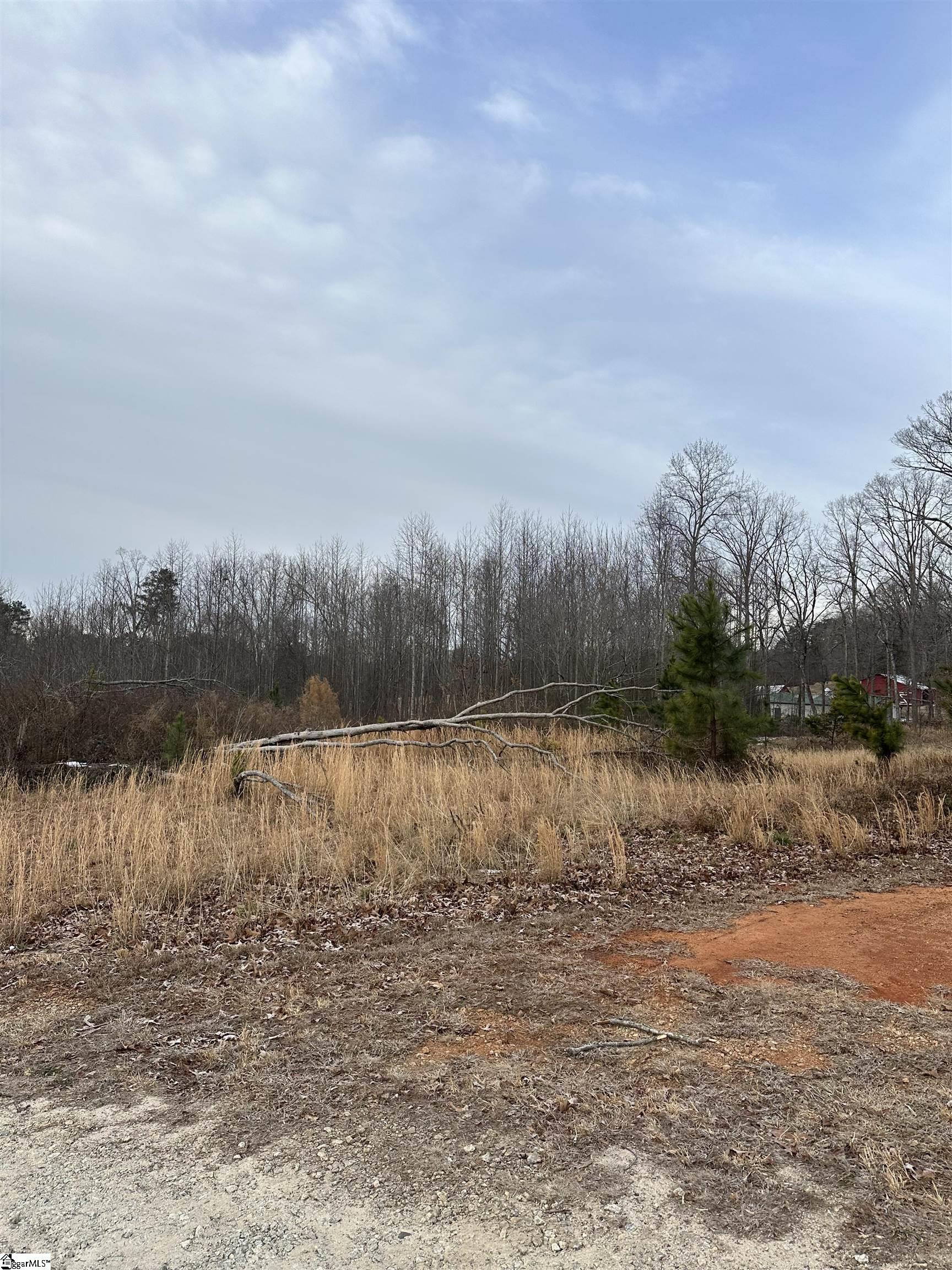 165 Still Lake Trail Greer, SC 29651 - Photo 12 of 31