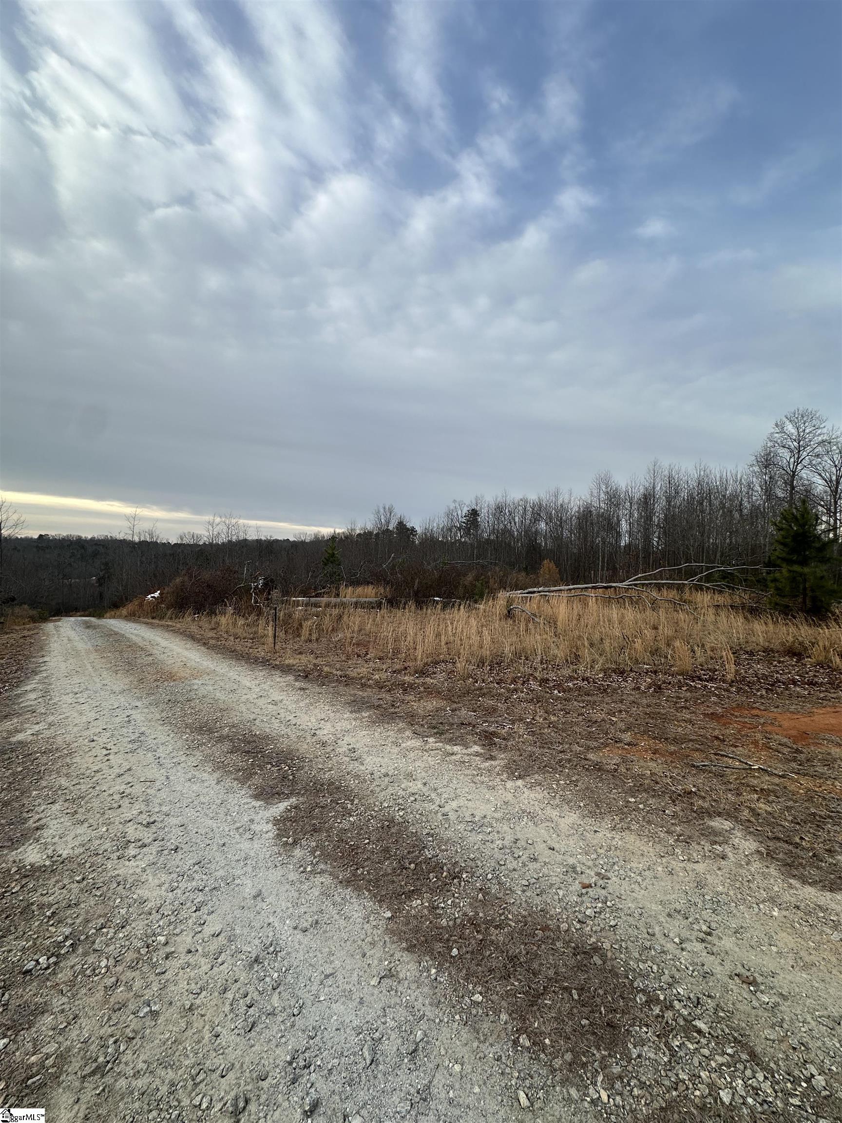 165 Still Lake Trail Greer, SC 29651 - Photo 13 of 31 Shared drive, lot is on right