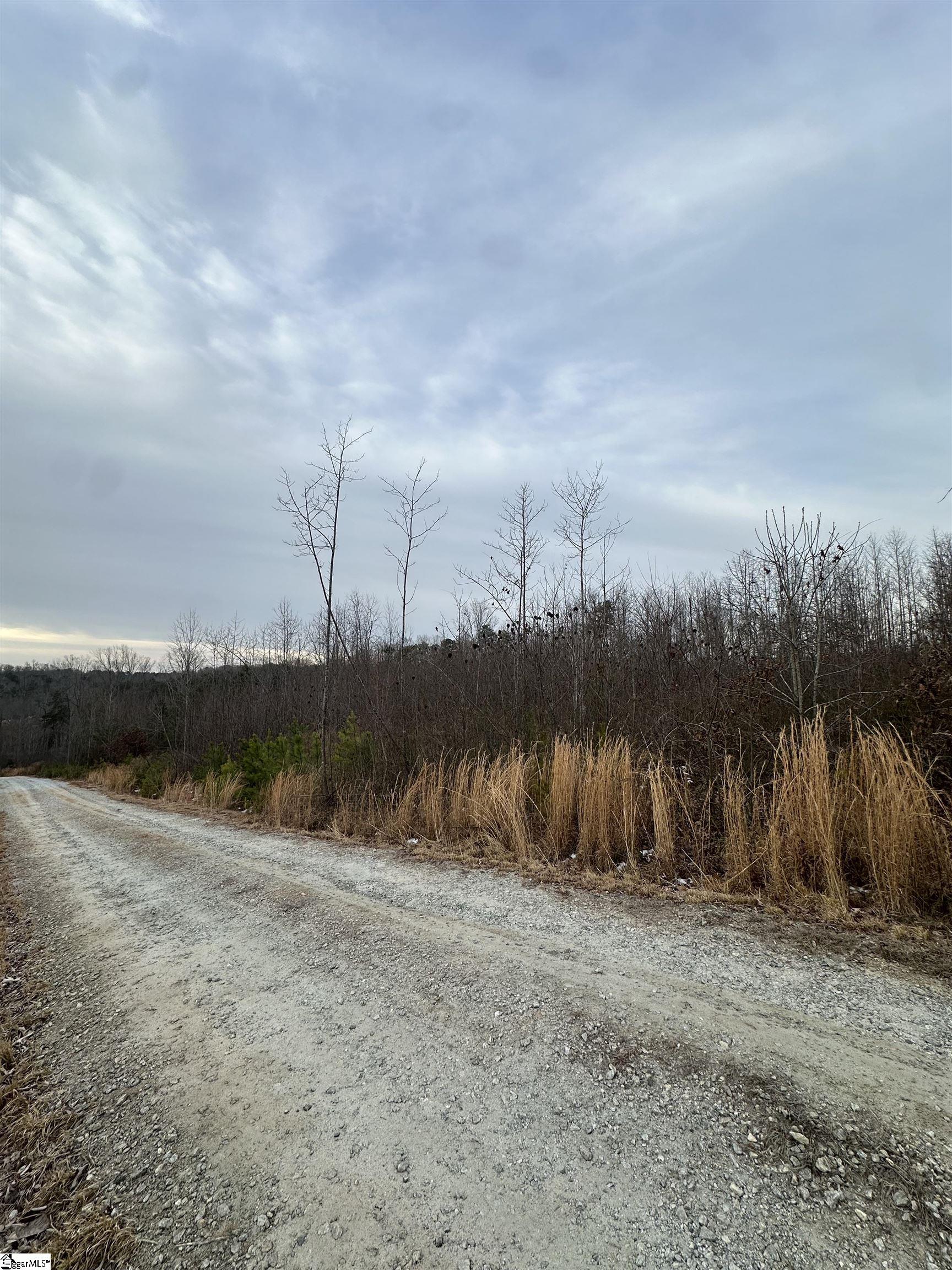 165 Still Lake Trail Greer, SC 29651 - Photo 20 of 31 Shared drive
