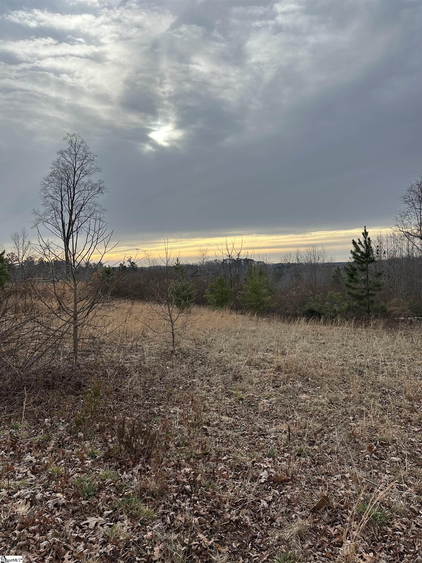 165 Still Lake Trail Greer, SC 29651 - Photo 21 of 31