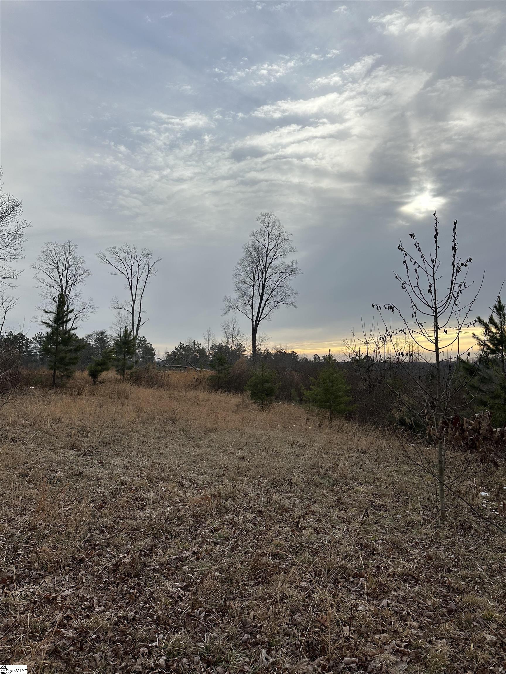 165 Still Lake Trail Greer, SC 29651 - Photo 23 of 31