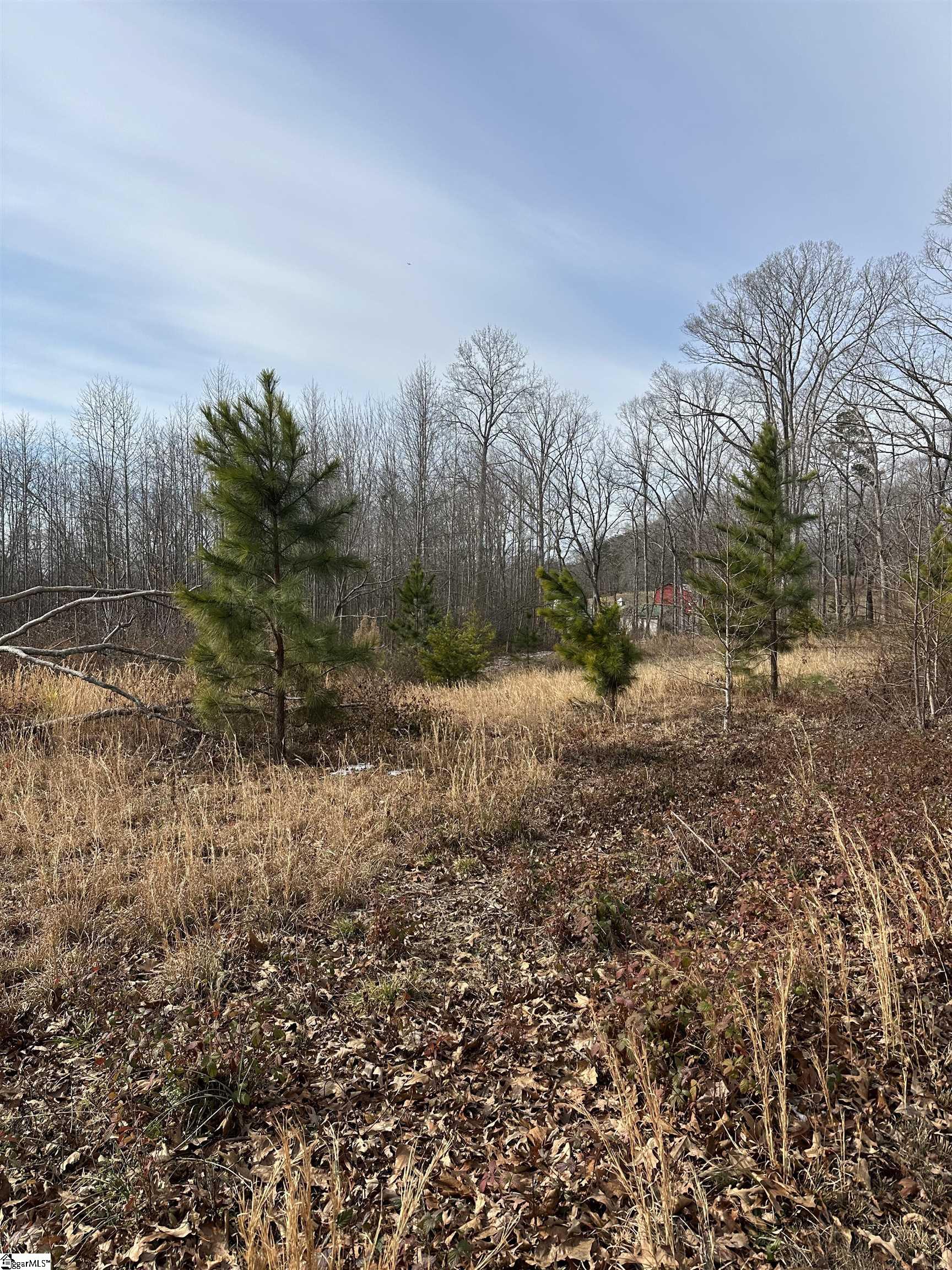 165 Still Lake Trail Greer, SC 29651 - Photo 24 of 31