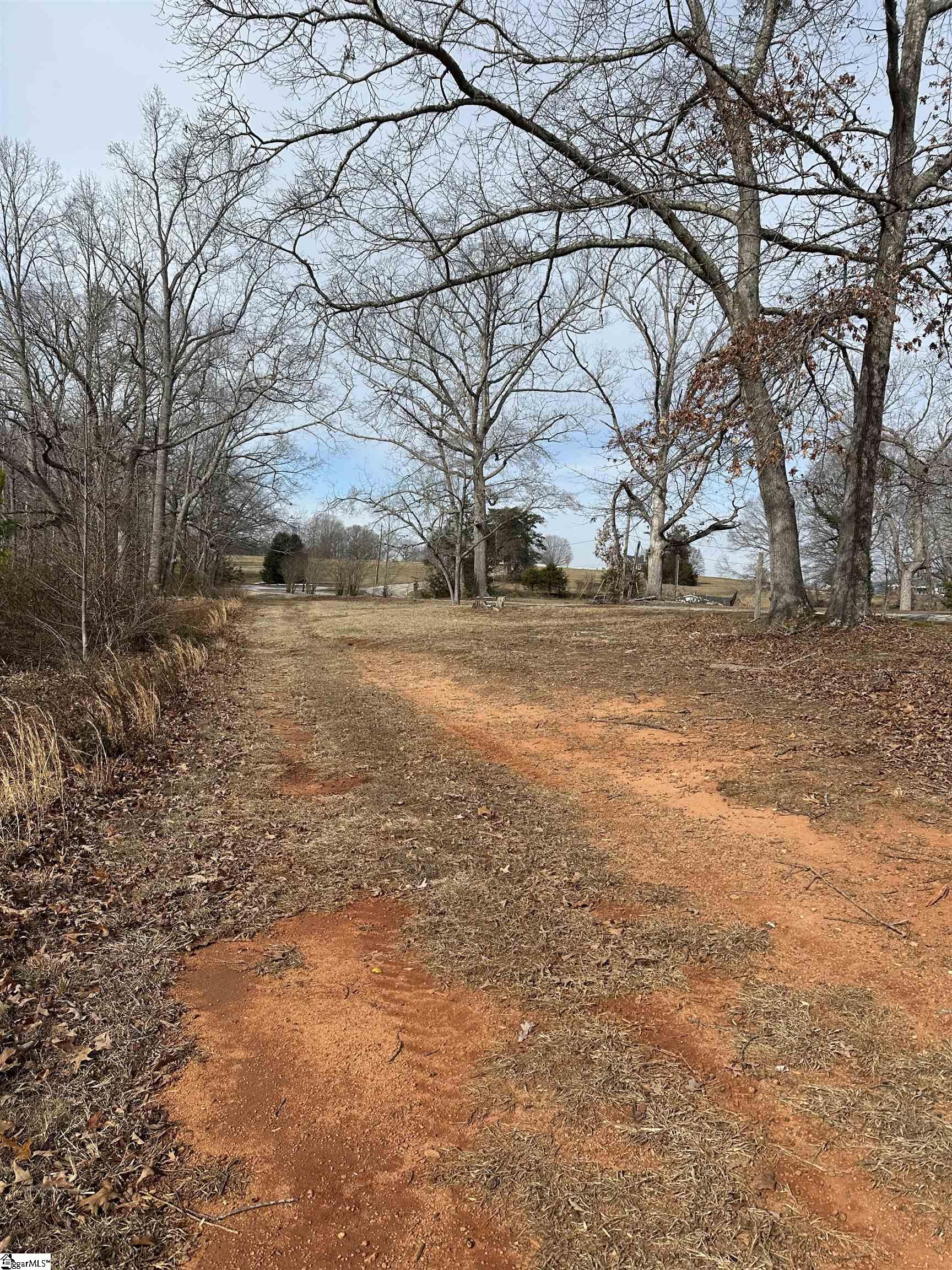 165 Still Lake Trail Greer, SC 29651 - Photo 25 of 31 Dirt drive- possible driveway location