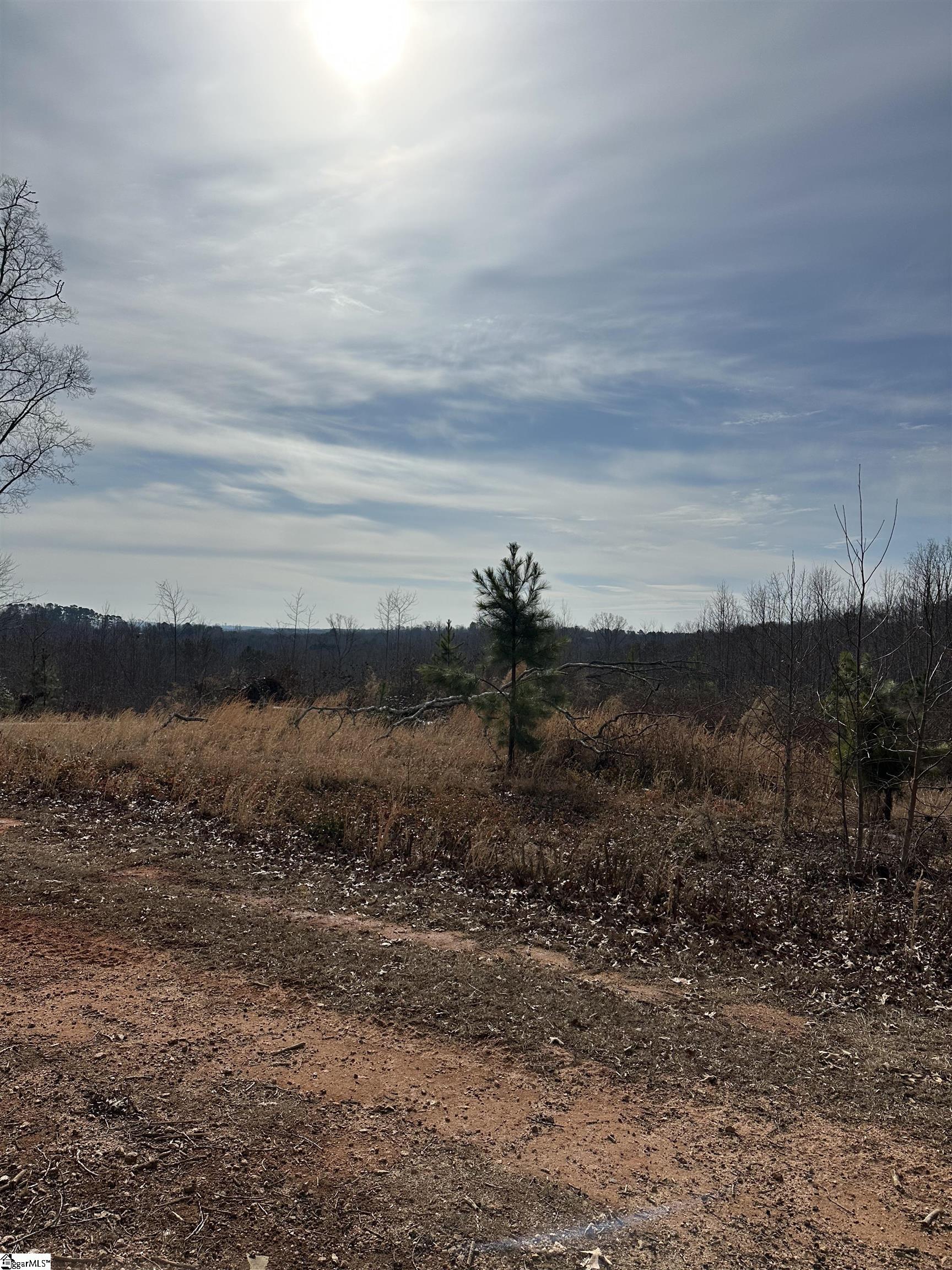 165 Still Lake Trail Greer, SC 29651 - Photo 26 of 31