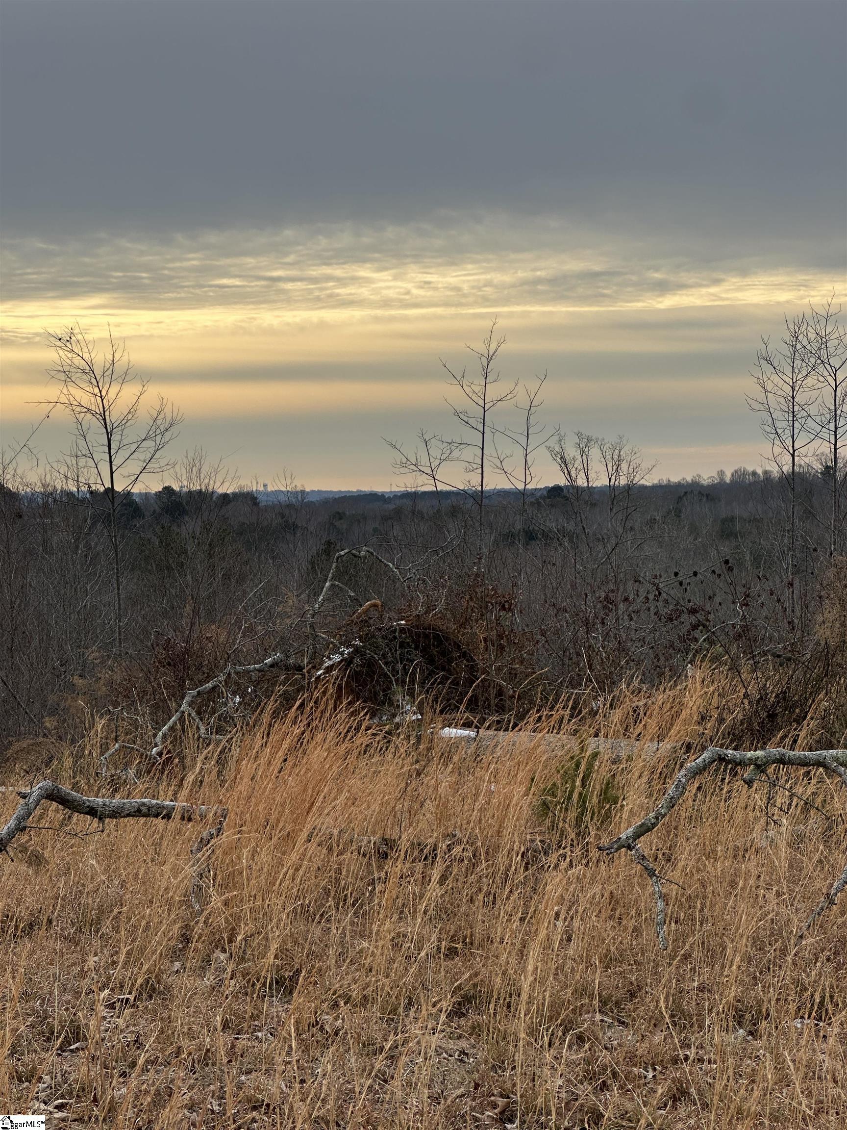165 Still Lake Trail Greer, SC 29651 - Photo 9 of 31