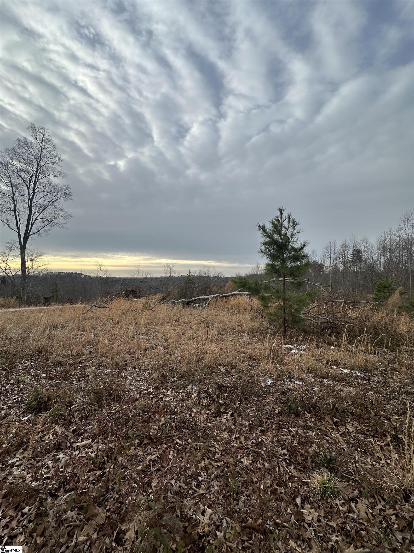 165 Still Lake Trail Greer, SC 29651 - Photo 10 of 31