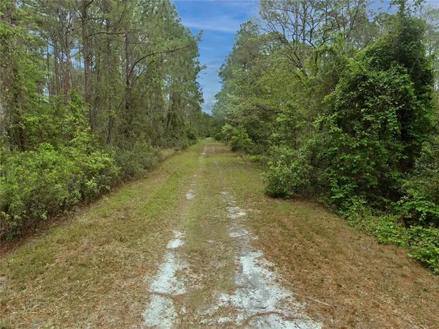$10,000 | 210 1st Street, Georgetown, FL 32139