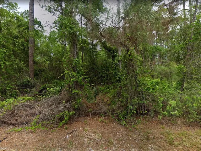 $10,000 | 210 1st Street, Georgetown, FL 32139