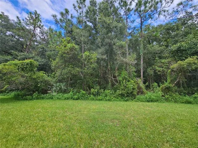 a view of a yard with a tree