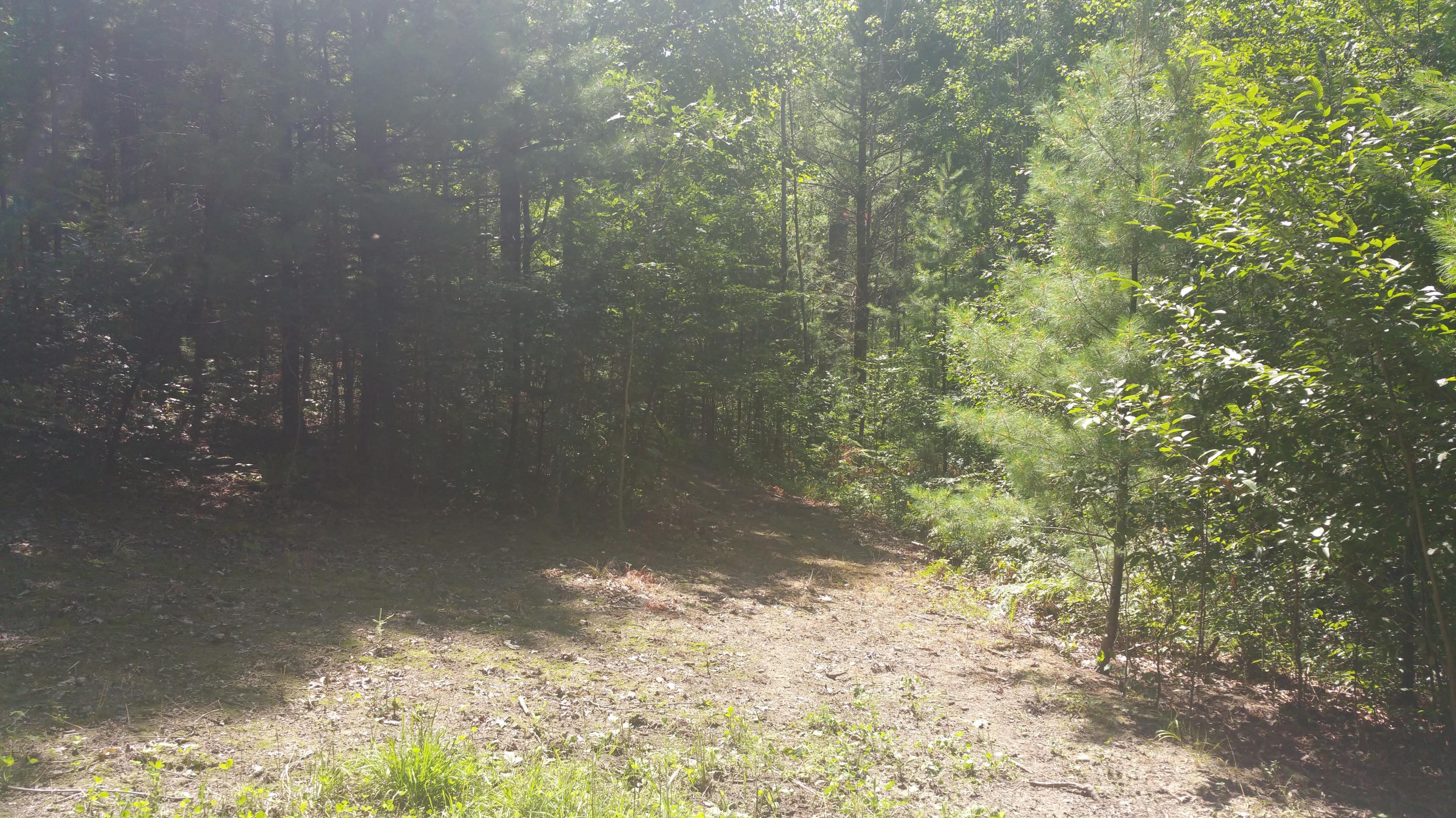 3130 South Mt Tom Road Mio, MI 48647 - Photo 38 of 54 Gallery Image 38
