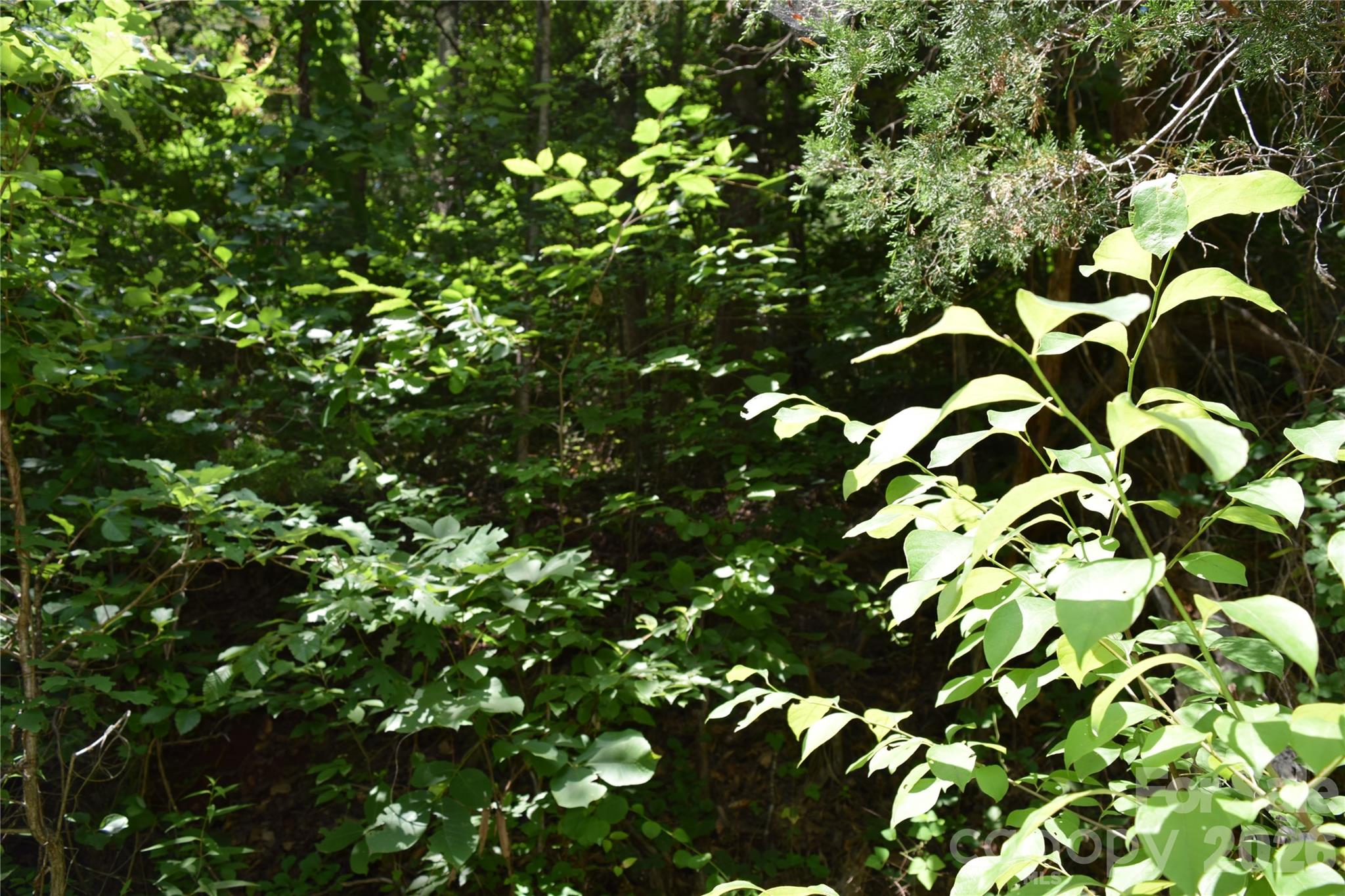 Tbd Bel Air Road, Unit 20 Cullowhee, NC 28723 - Photo 9 of 9