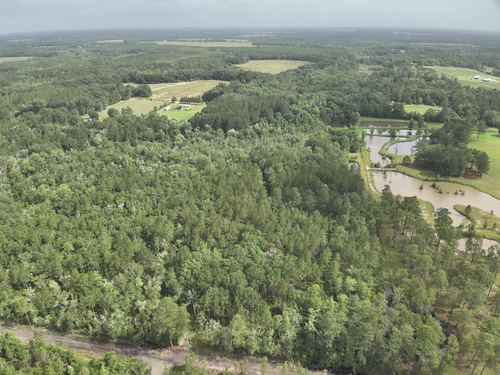 26-acres Reed Patch Road Black, AL 36314 - Photo 5 of 9 Gallery Image 5