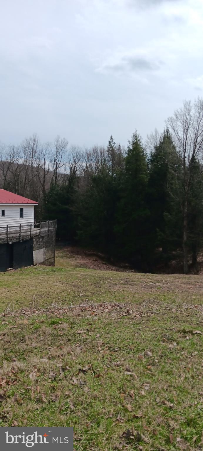 1243 Shaffer Mountain Road Cairnbrook, PA 15924 - Photo 11 of 60