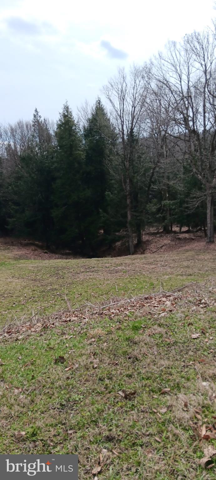 1243 Shaffer Mountain Road Cairnbrook, PA 15924 - Photo 12 of 60