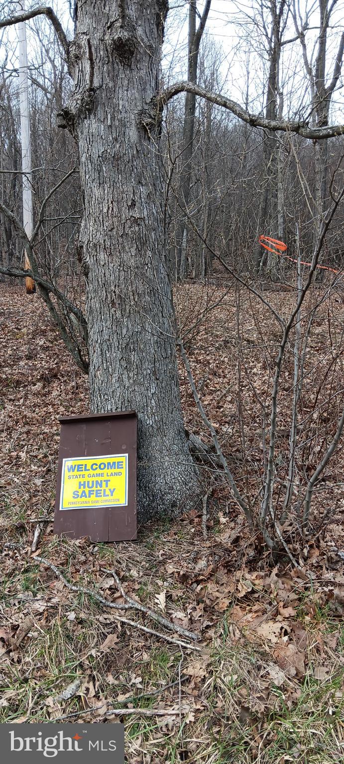 1243 Shaffer Mountain Road Cairnbrook, PA 15924 - Photo 14 of 60