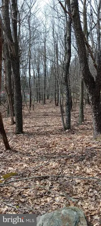 $180,000 | 1243 Shaffer Mountain Road, Cairnbrook, PA 15924