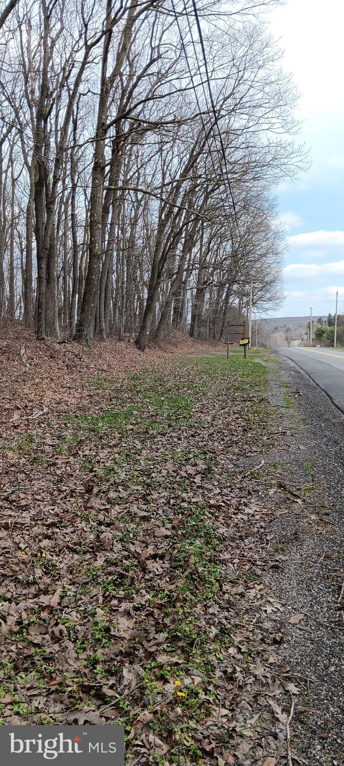 1243 Shaffer Mountain Road Cairnbrook, PA 15924 - Photo 17 of 60