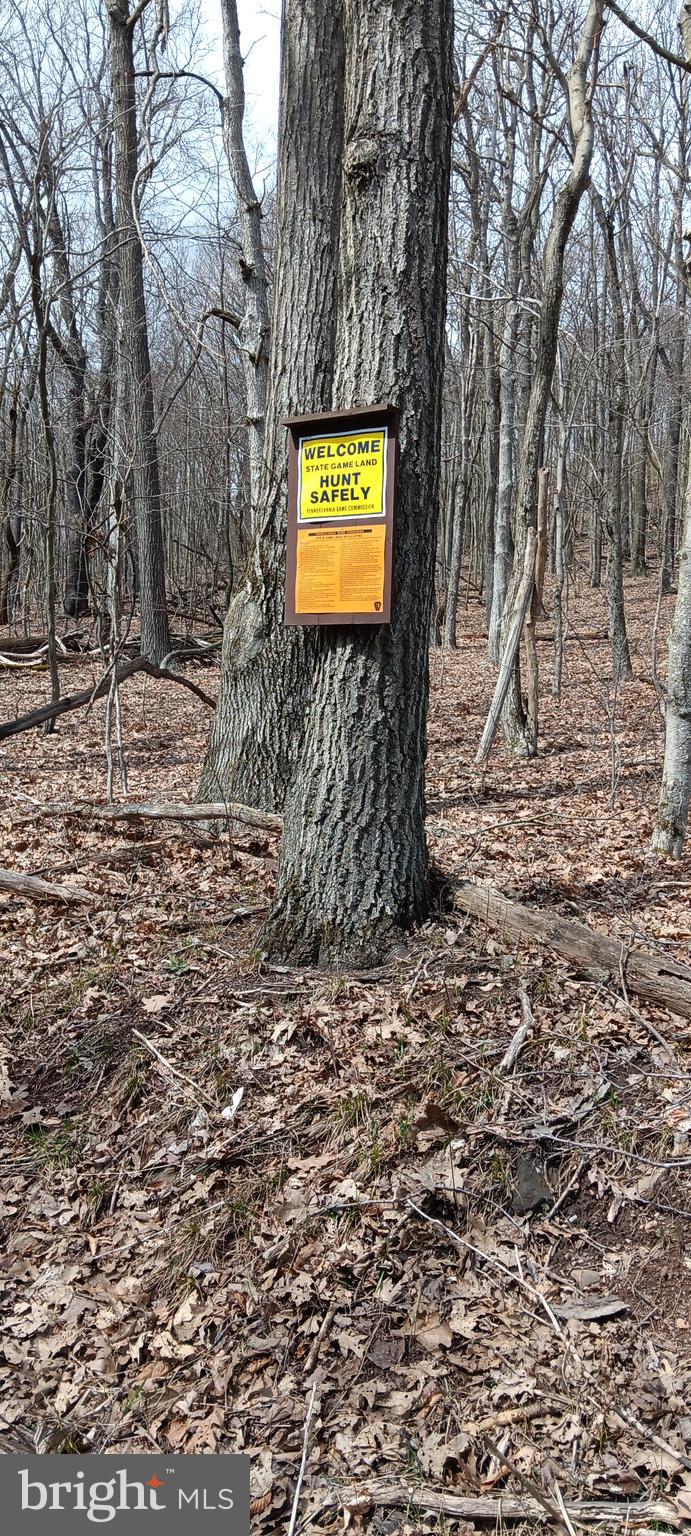 1243 Shaffer Mountain Road Cairnbrook, PA 15924 - Photo 19 of 60