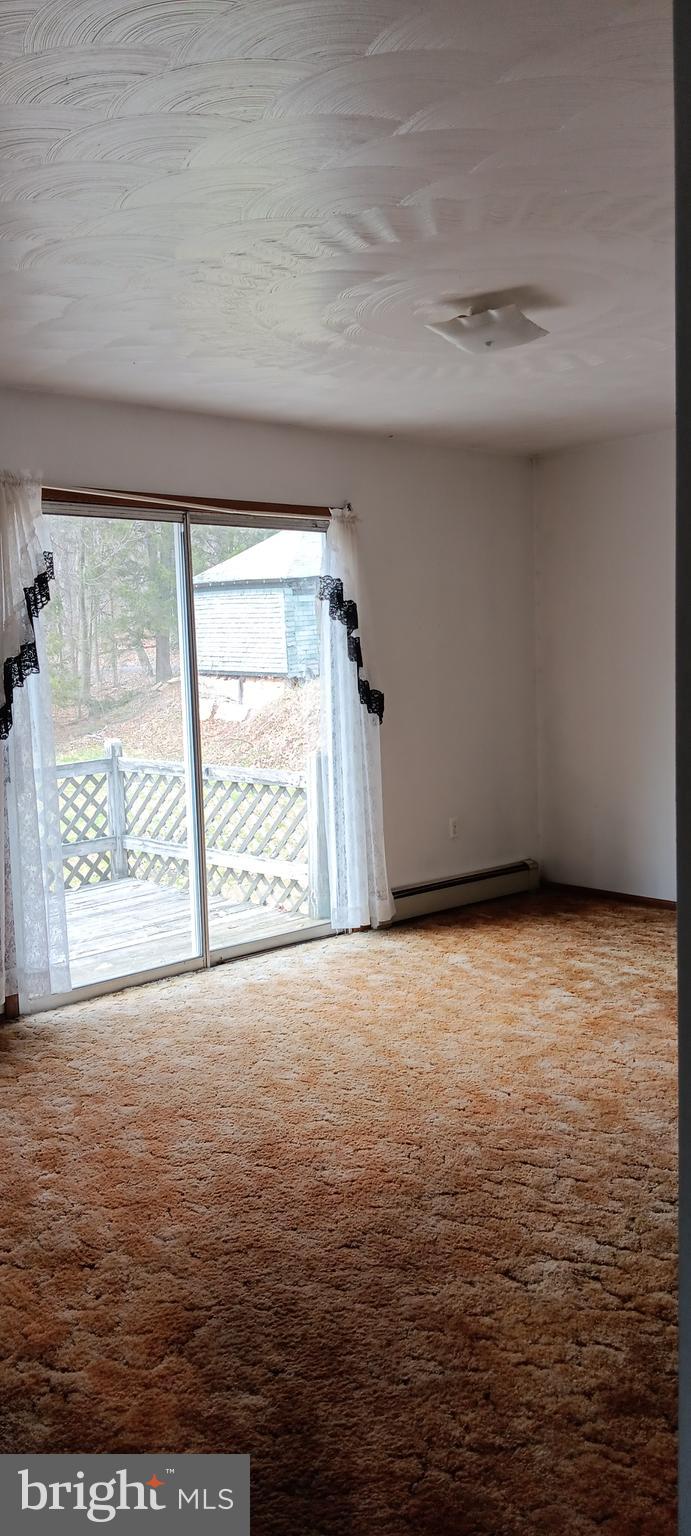 1243 Shaffer Mountain Road Cairnbrook, PA 15924 - Photo 35 of 60