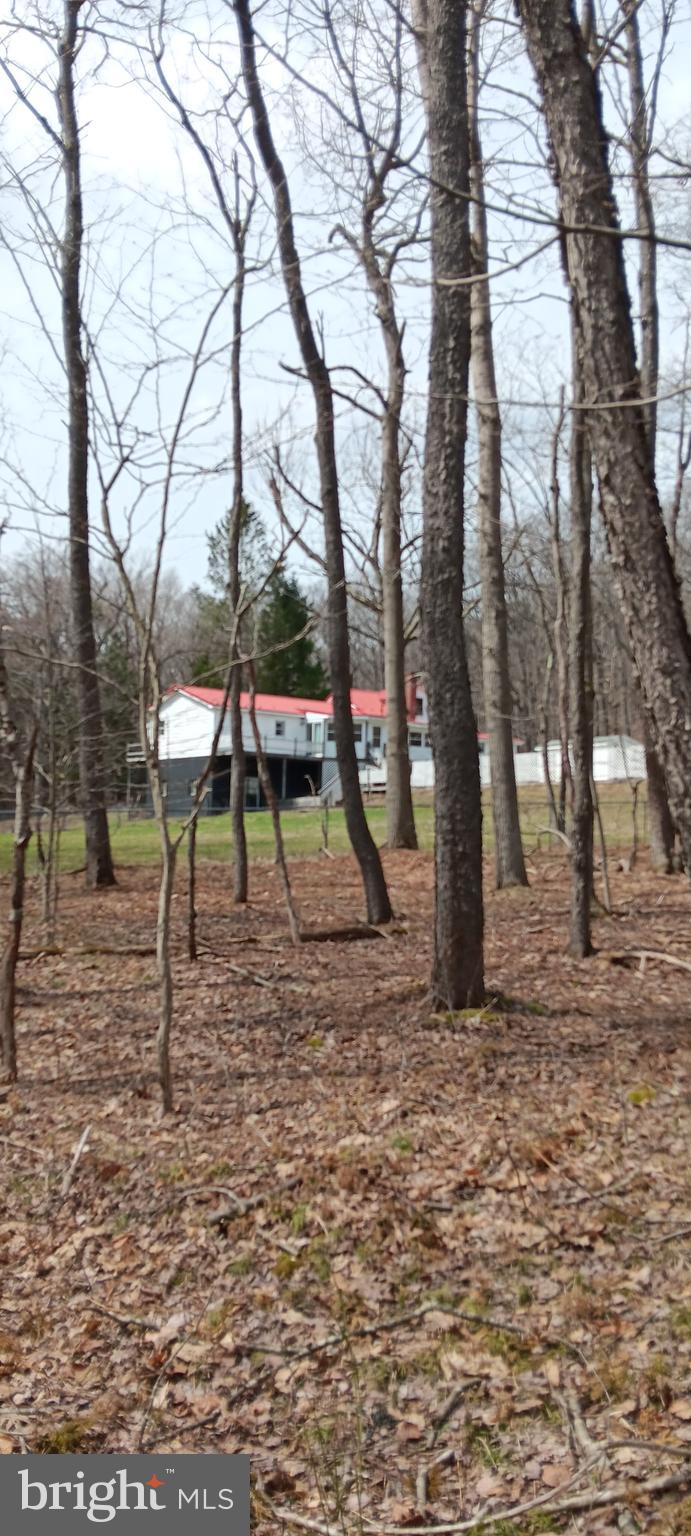 1243 Shaffer Mountain Road Cairnbrook, PA 15924 - Photo 4 of 60