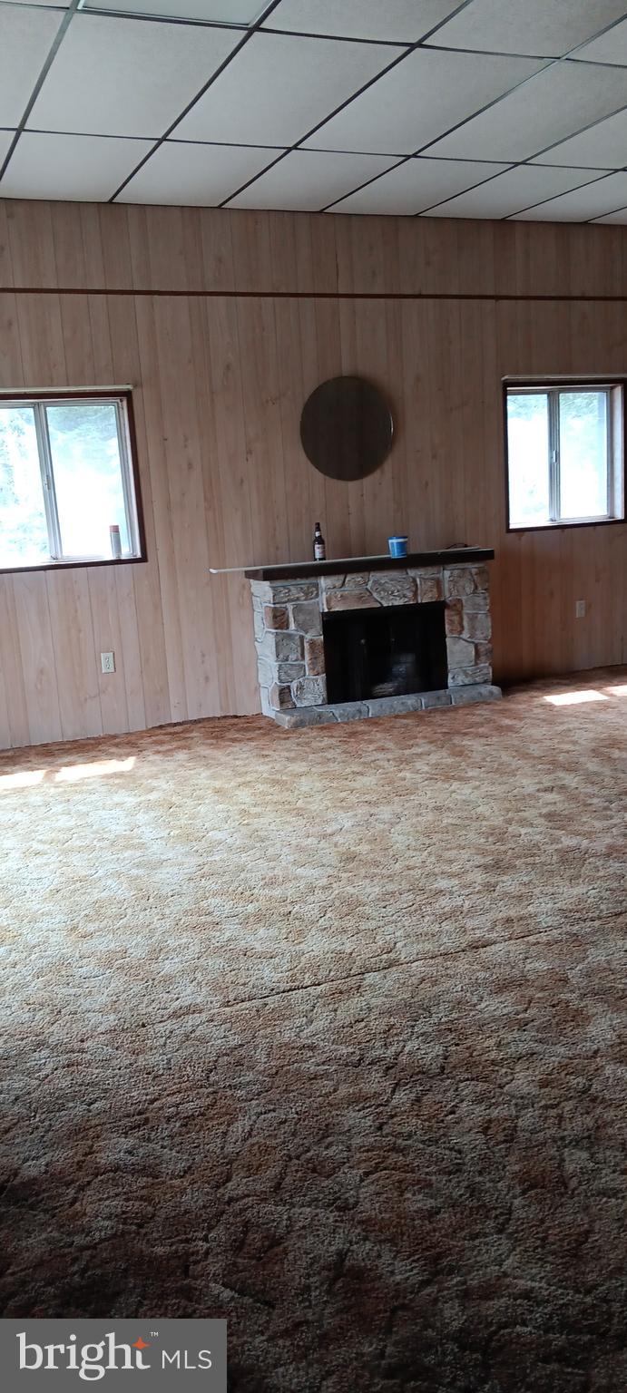 1243 Shaffer Mountain Road Cairnbrook, PA 15924 - Photo 42 of 60