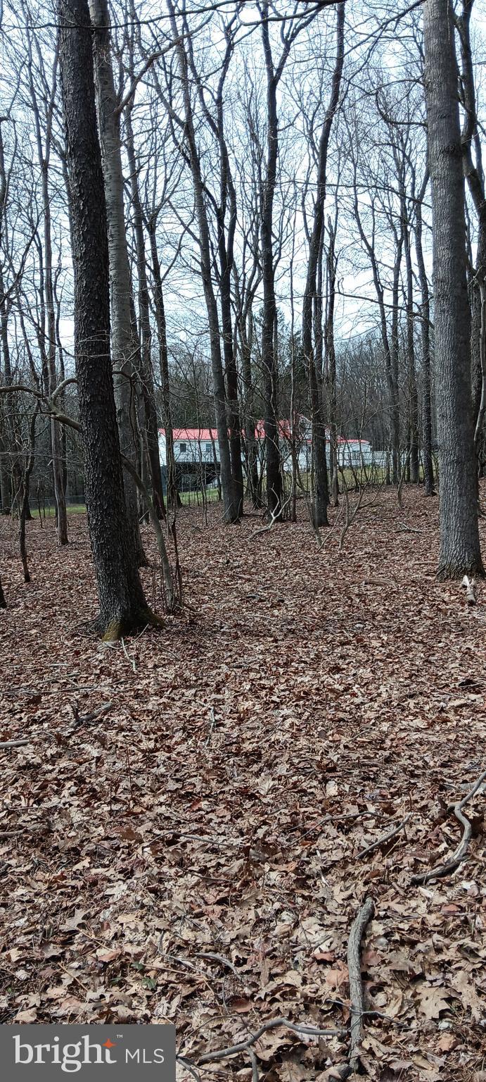 1243 Shaffer Mountain Road Cairnbrook, PA 15924 - Photo 5 of 60