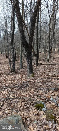 $180,000 | 1243 Shaffer Mountain Road, Cairnbrook, PA 15924