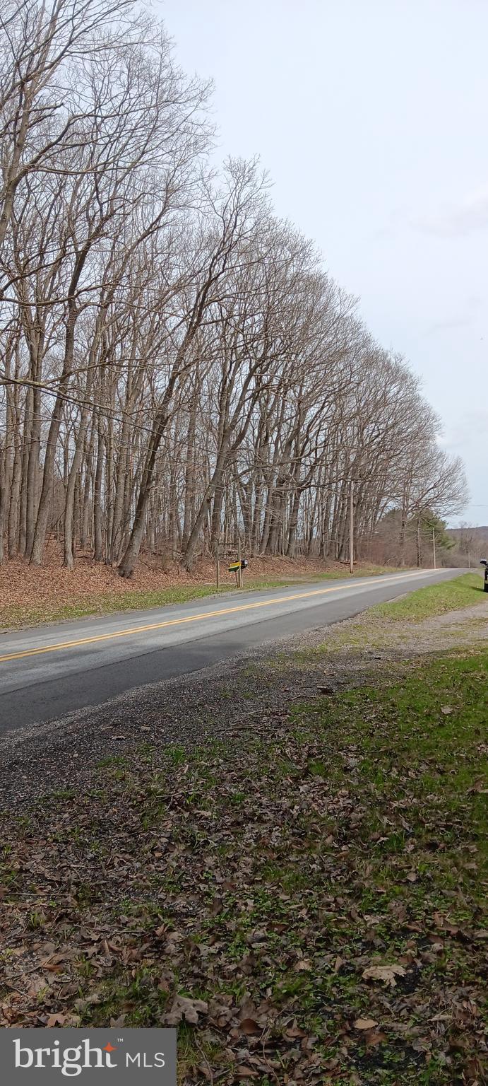 1243 Shaffer Mountain Road Cairnbrook, PA 15924 - Photo 56 of 60