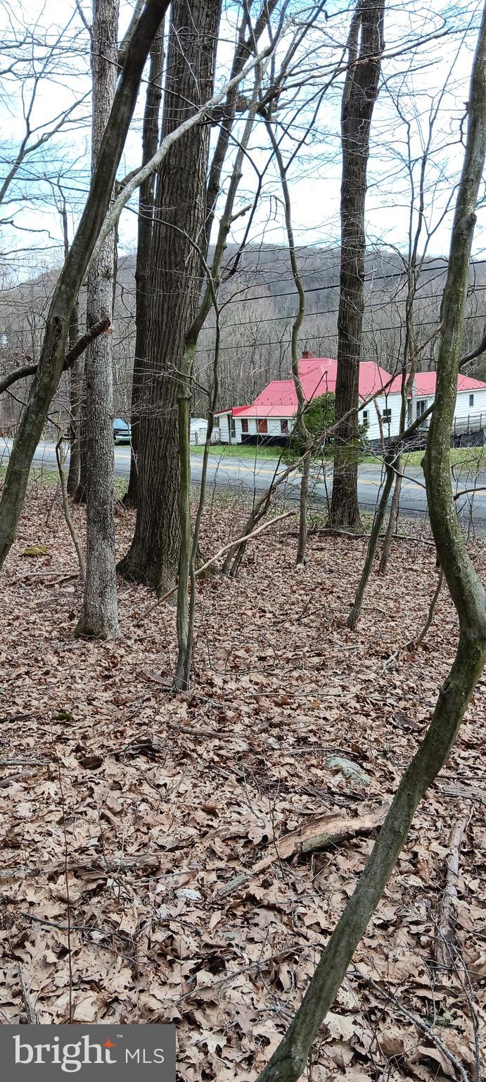 1243 Shaffer Mountain Road Cairnbrook, PA 15924 - Photo 60 of 60