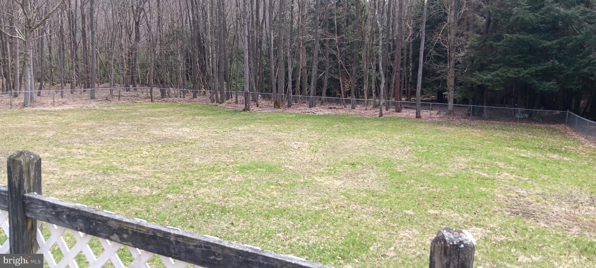 1243 Shaffer Mountain Road Cairnbrook, PA 15924 - Photo 6 of 60