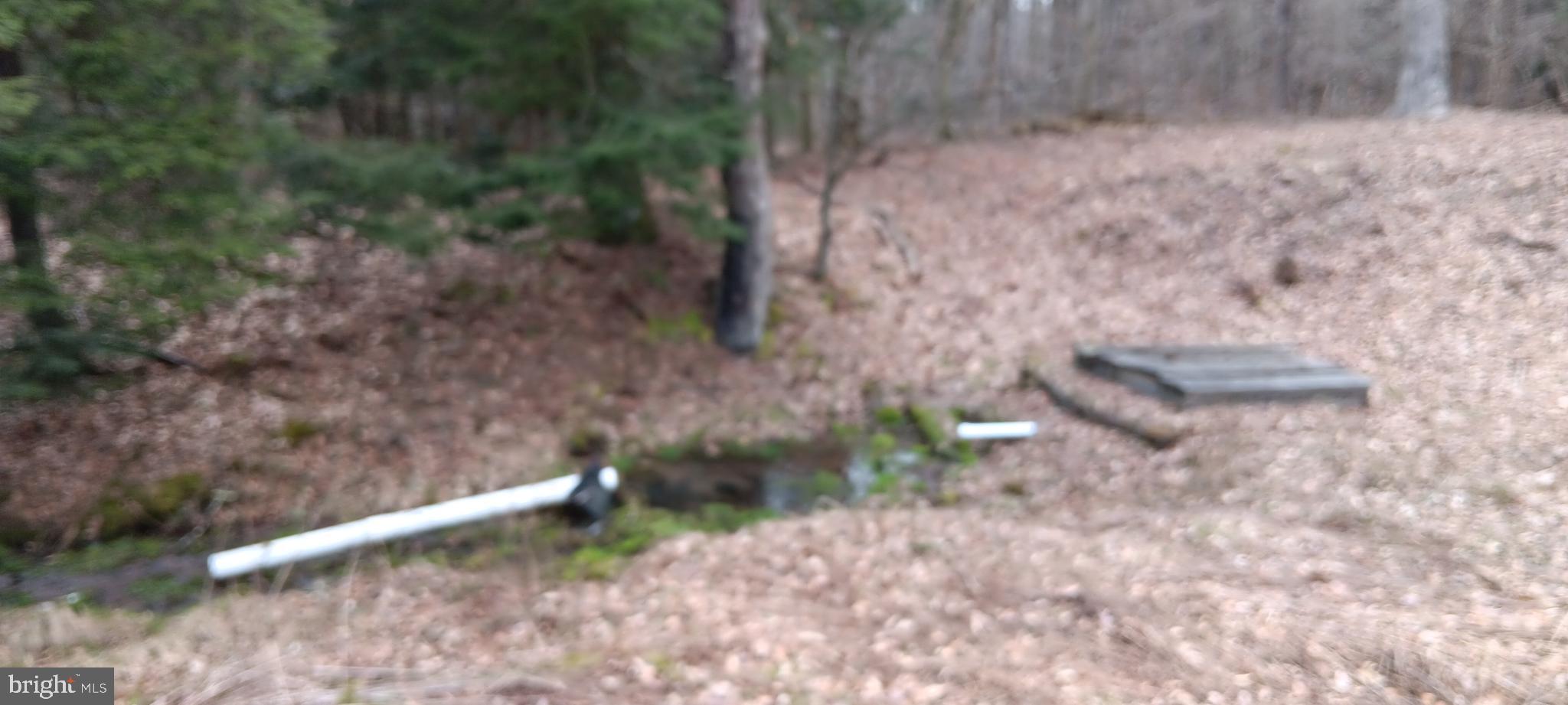 1243 Shaffer Mountain Road Cairnbrook, PA 15924 - Photo 7 of 60