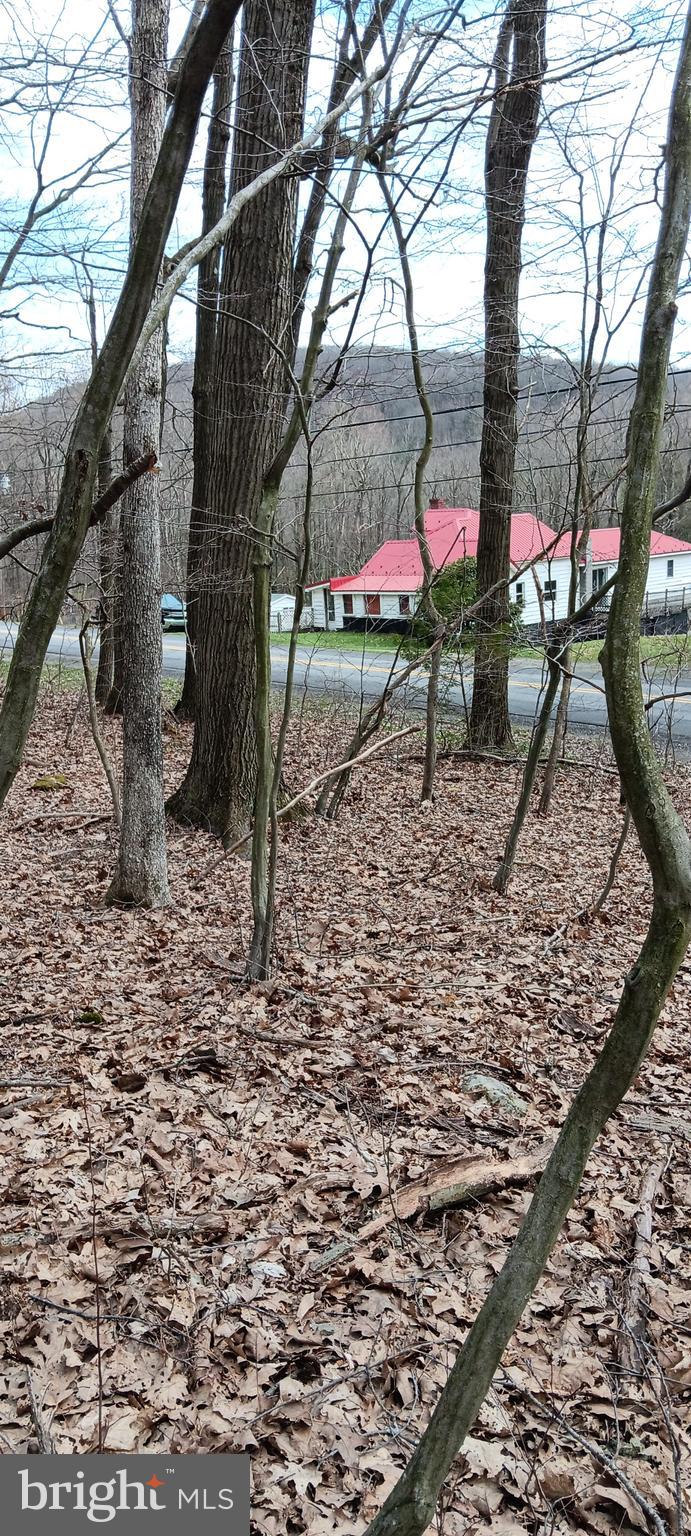 1243 Shaffer Mountain Road Cairnbrook, PA 15924 - Photo 10 of 60