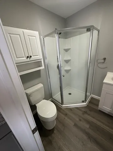 a bathroom with a shower and a toilet