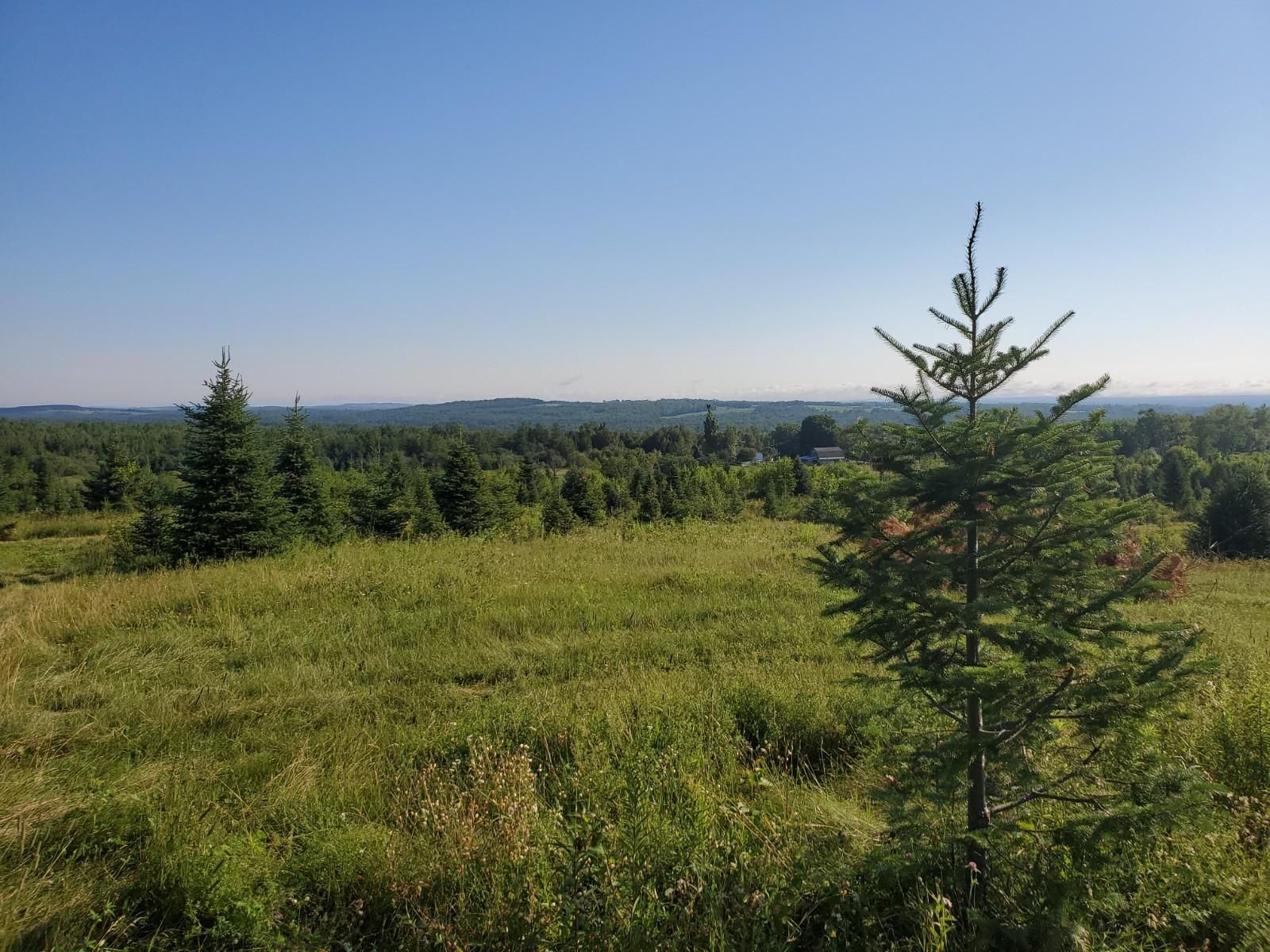 221 West Ridge Road Littleton, ME 04730 - Photo 9 of 10 20200729_075520