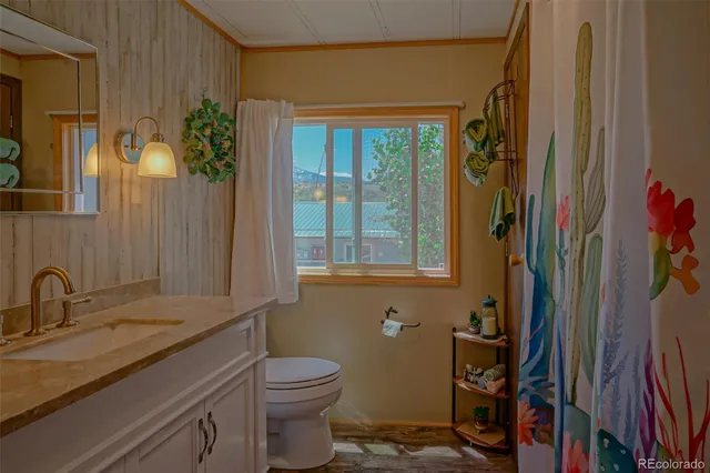 a bathroom with a granite countertop sink toilet and shower