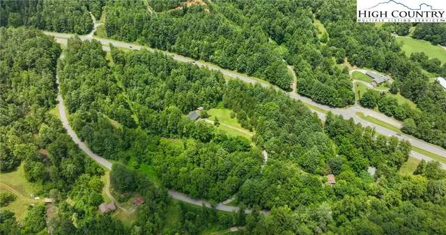 a view of a lush green forest with lots of trees