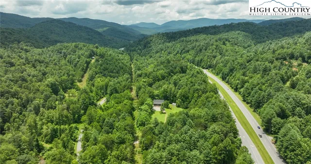 a view of a lush green forest with lots of trees