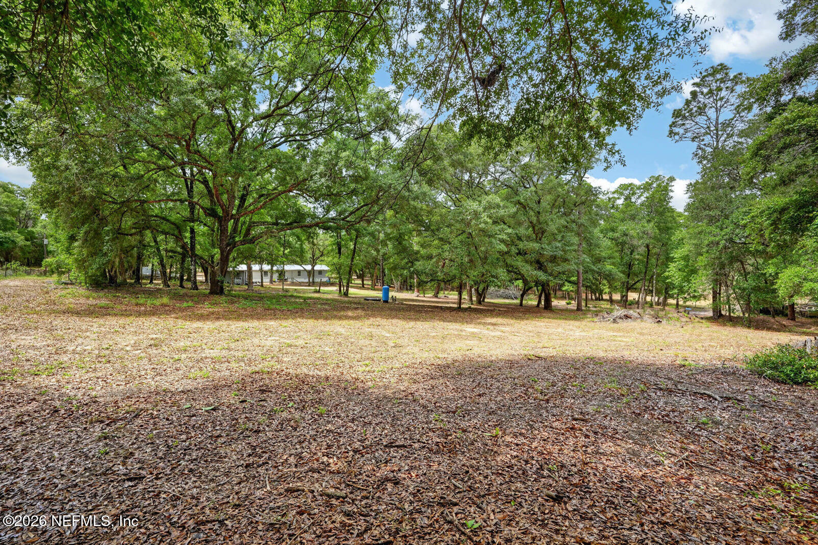 134 Windy Hills Road Hawthorne, FL 32640 - Photo 48 of 66 53_dsc09689