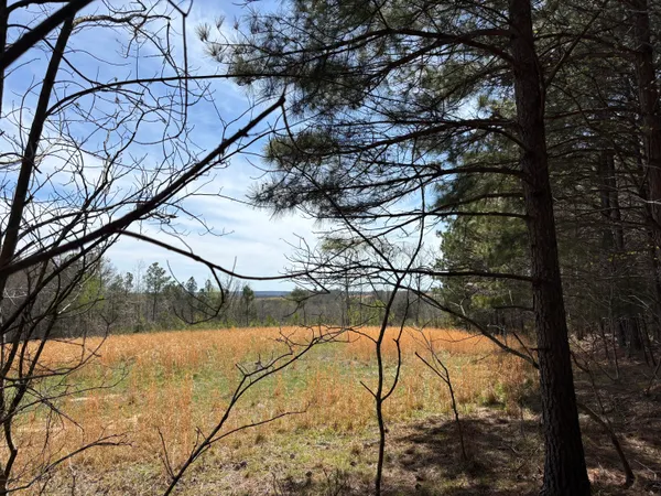 $84,500 | 5 Fredonia Road, Dunlap, TN 37327