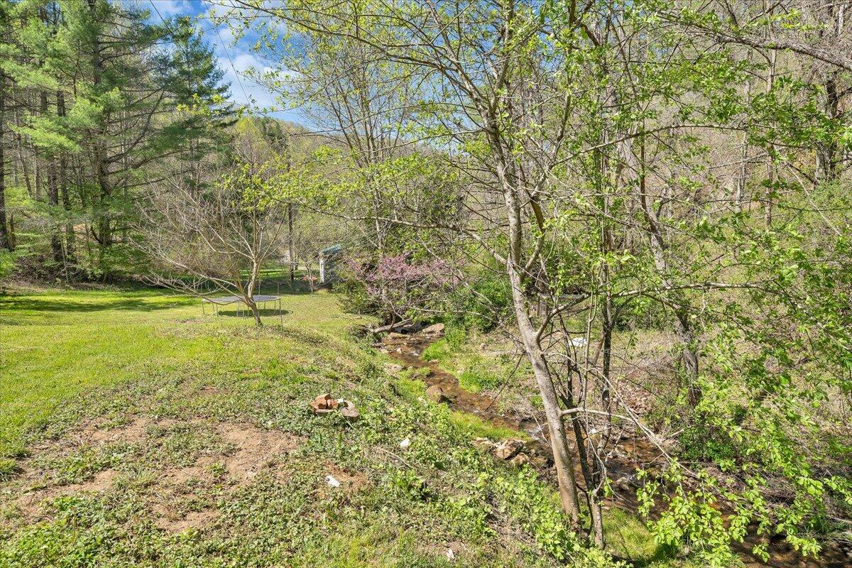 1660 Diamond Knob Road Northeast Check, VA 24072 - Photo 29 of 31 a view of outdoor space and yard