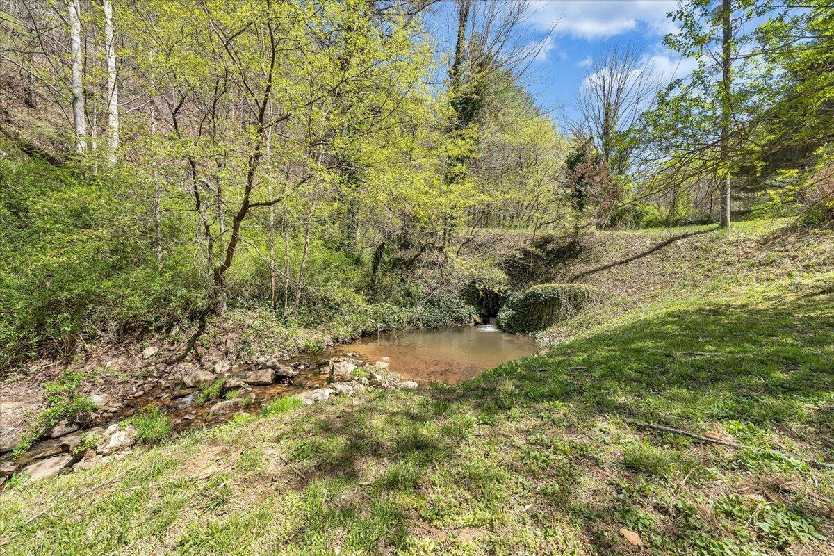 1660 Diamond Knob Road Northeast Check, VA 24072 - Photo 4 of 31 a view of a yard with plants and large trees