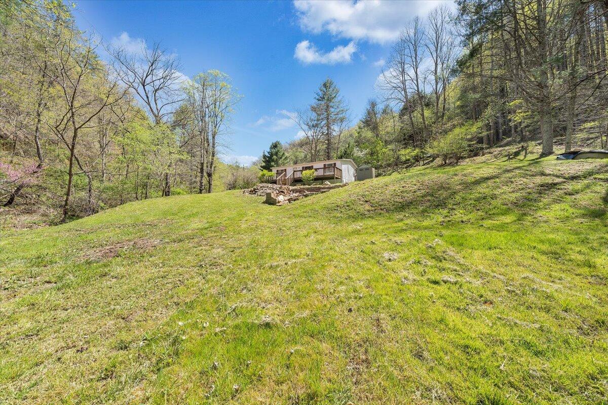 1660 Diamond Knob Road Northeast Check, VA 24072 - Photo 7 of 31 a view of yard with large trees