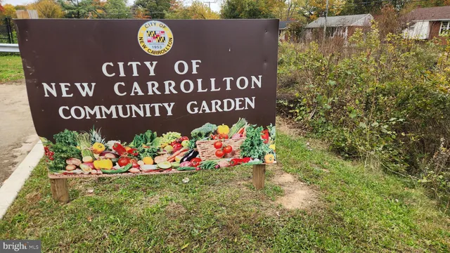 a view of a tennis court
