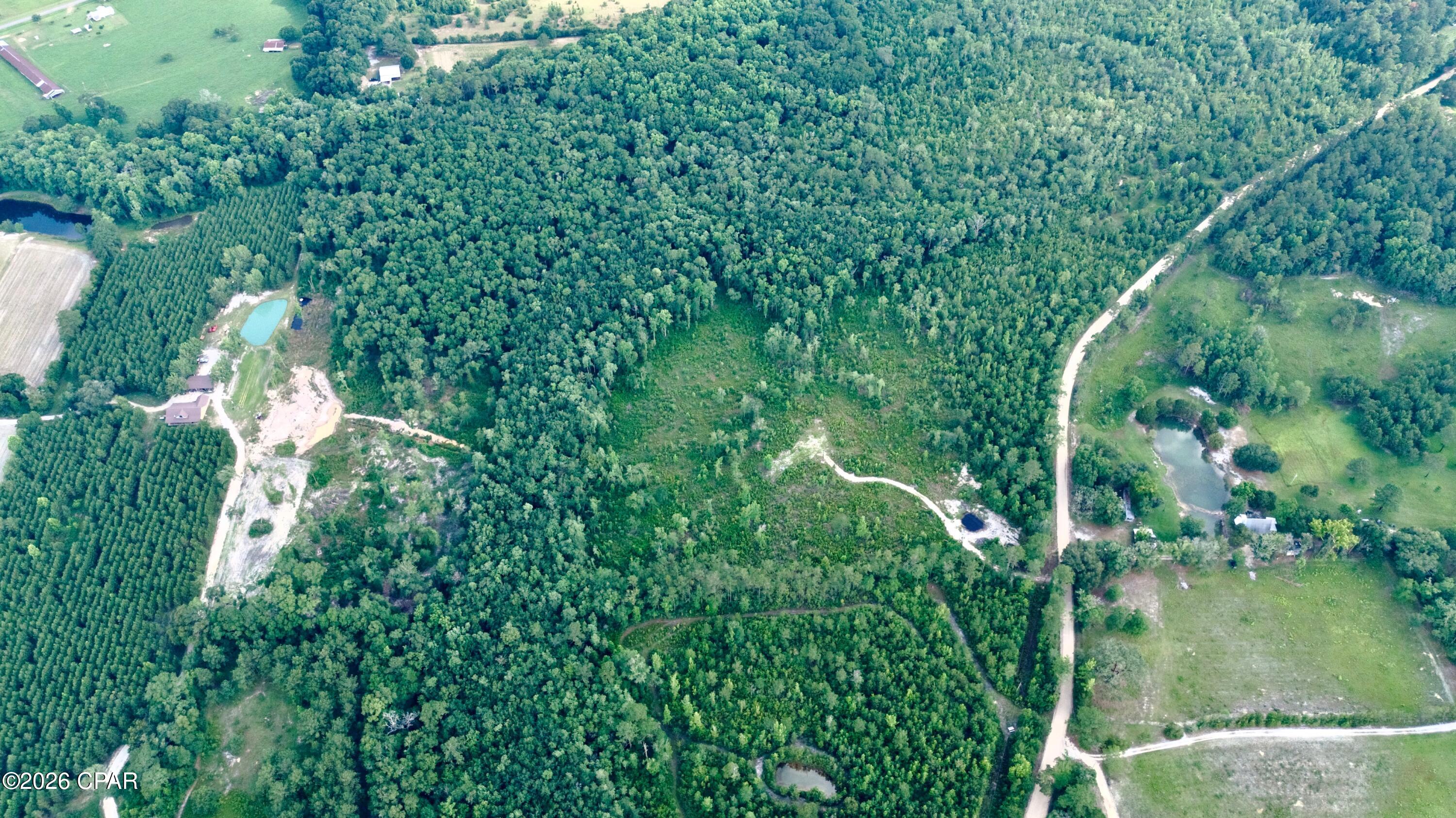 20-acres Curry Ferry Road Bonifay, FL 32425 - Photo 2 of 2