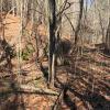 0 California Branch Road Westpoint, TN 38486 - Photo 1 of 5