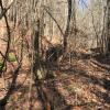 0 California Branch Road Westpoint, TN 38486 - Photo 2 of 5