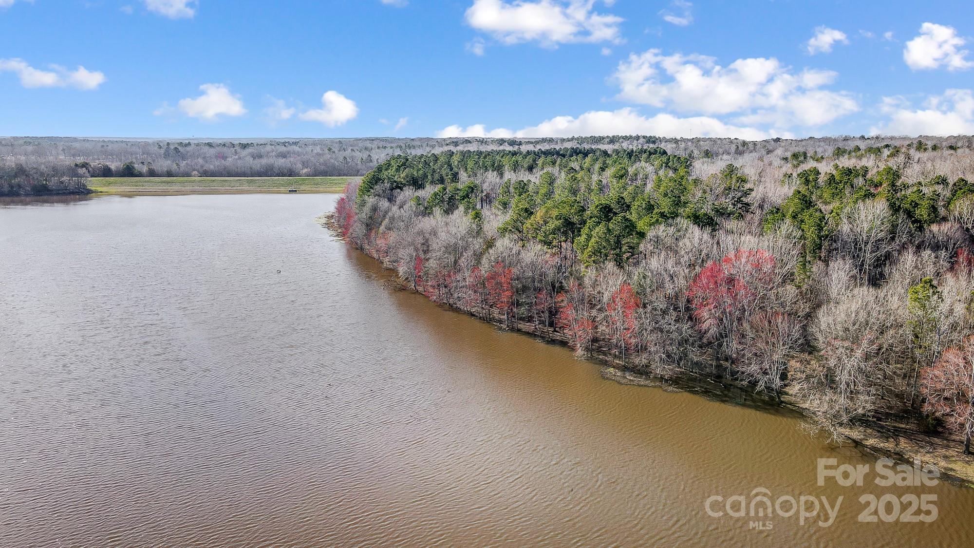 2166 Hough Road Lancaster, SC 29720 - Photo 4 of 23 a view of a lake from a yard