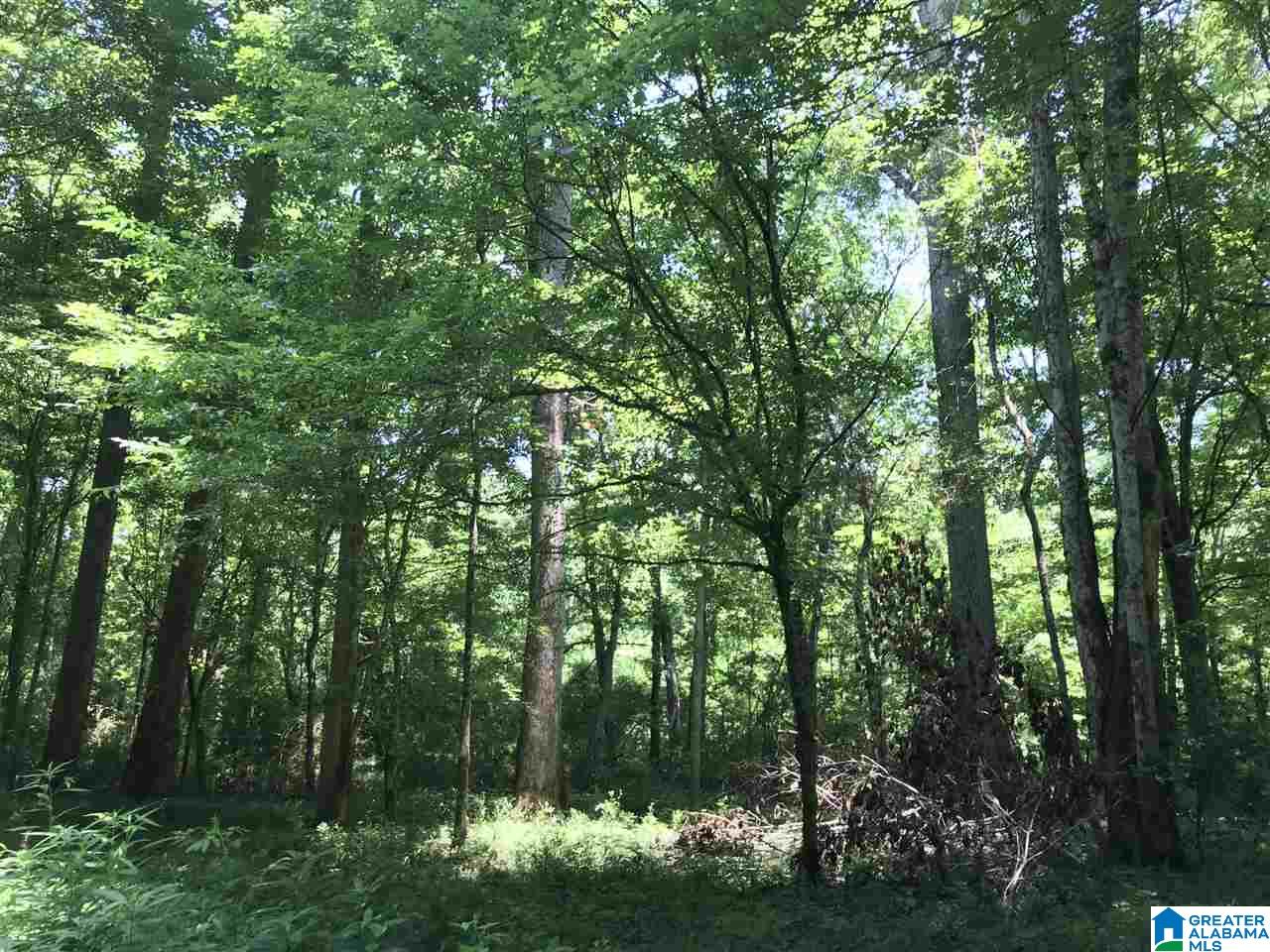 0 Highway 59 Vincent, AL 35178 - Photo 9 of 10