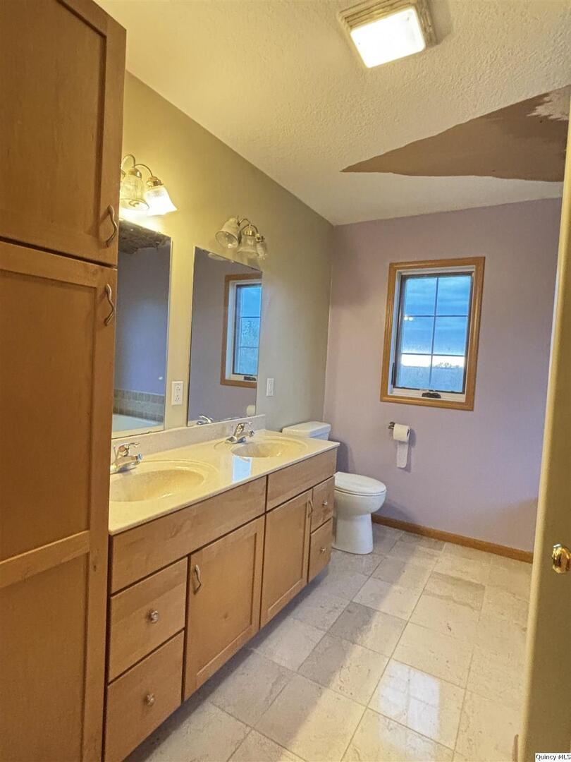 1848 North Co Road 1700 Carthage, IL 62321 - Photo 17 of 33 a spacious bathroom with a double vanity sink a mirror and a toilet